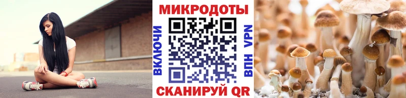 Псилоцибиновые грибы GOLDEN TEACHER Дивногорск