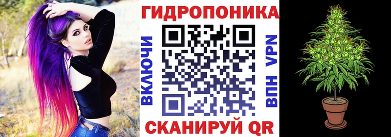Каннабис AK-47  что такое   Дивногорск 